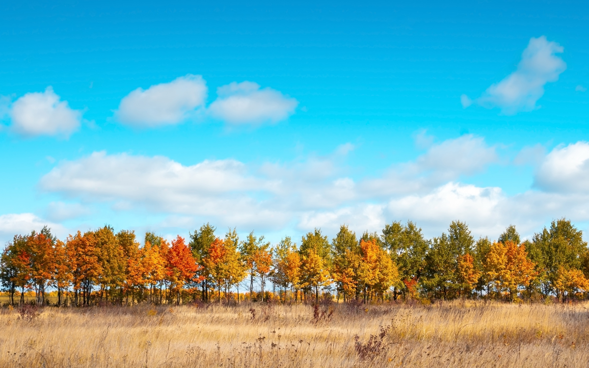 Fall in Hugo, OK: The Perfect Season to Explore Land & Real Estate